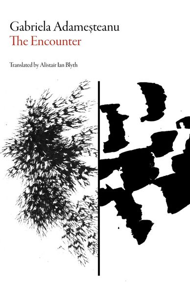 Produktbild: The Encounter