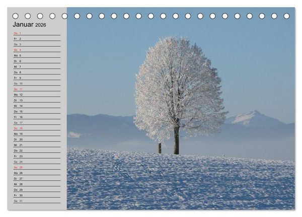 Produktbild: Magische B&auml;ume (Tischkalender 2026 DIN A5 quer), CALVENDO Monatskalender