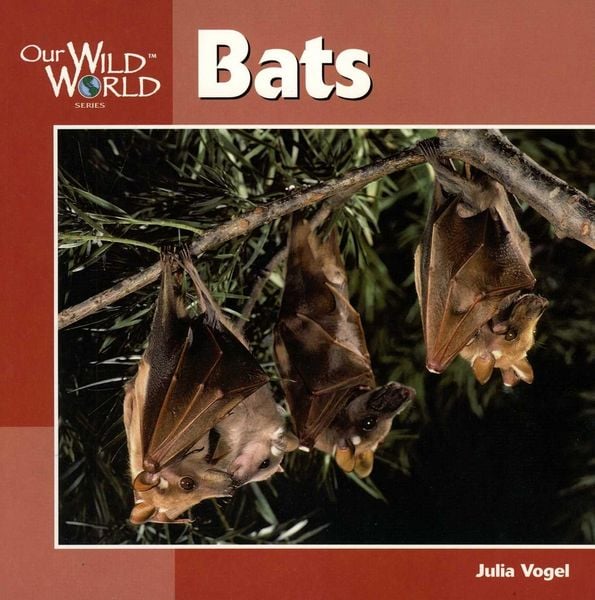 Produktbild: Bats