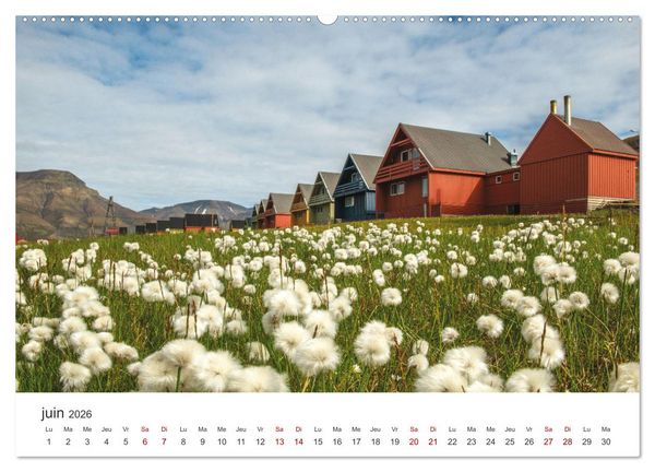 Produktbild: L'&eacute;t&eacute; sur les &icirc;les Svalbard (Calendrier mural 2026 DIN A2 vertical) calendrier de bureau