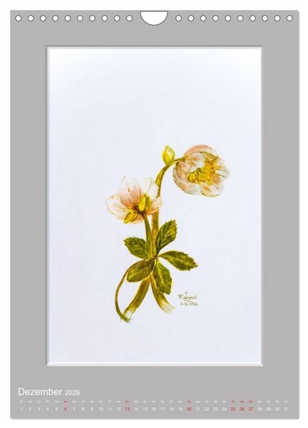 Produktbild: Alpenblumen Aquarelle aus Tirol (Wandkalender 2026 DIN A4 hoch), CALVENDO Monatskalender
