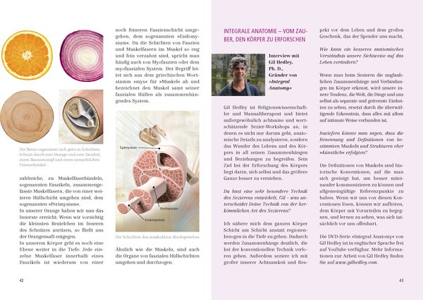 Produktbild: Das gro&szlig;e Faszien-Yoga Buch