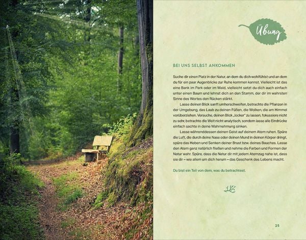 Produktbild: Kraftort Natur