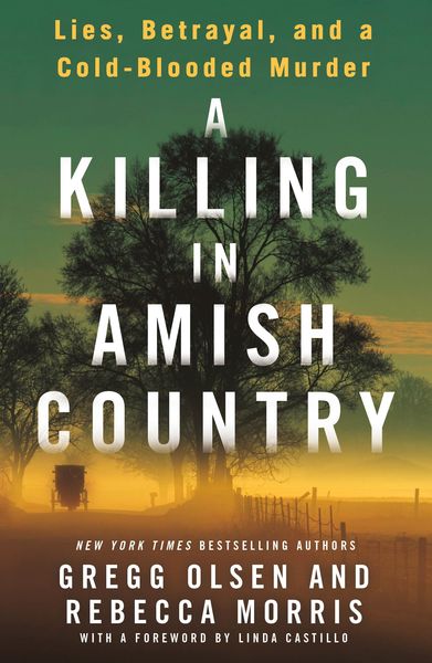 Produktbild: A Killing in Amish Country