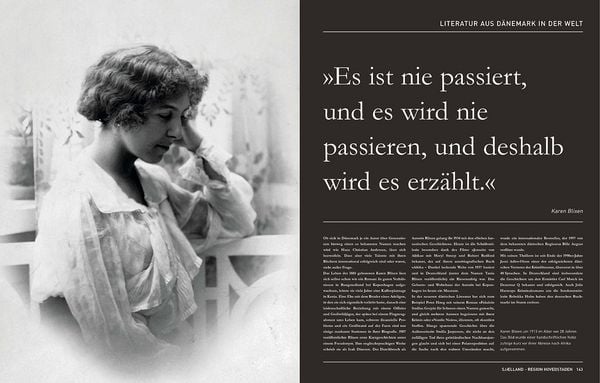 Produktbild: D&auml;nemark. Das Buch