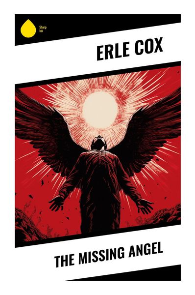 Produktbild: The Missing Angel