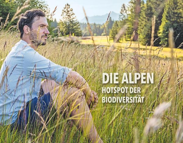 Produktbild: Das Erbe der Alpen