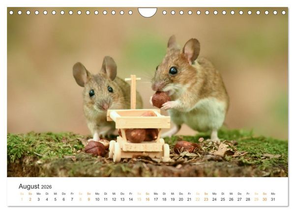 Produktbild: Geheimes Waldleben (Wandkalender 2026 DIN A4 quer), CALVENDO Monatskalender