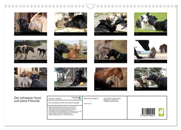 Produktbild: Der schwarze Hund und seine Freunde (Wandkalender 2026 DIN A3 quer), CALVENDO Monatskalender
