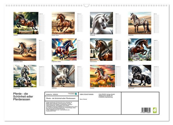 Produktbild: Pferde - die Sch&ouml;nheit edler Pferderassen (Wandkalender 2026 DIN A2 quer), CALVENDO Monatskalender