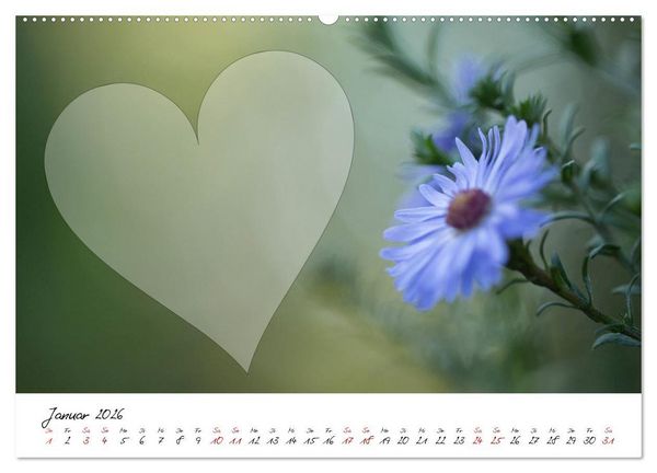 Produktbild: Blauer Bl&uuml;tentraum - Bastelkalender (Wandkalender 2026 DIN A2 quer), CALVENDO Monatskalender