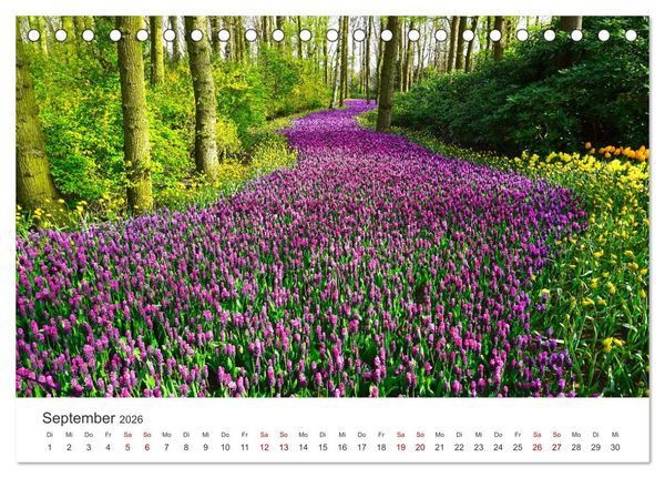 Produktbild: Die magische Welt der Blumen (Tischkalender 2026 DIN A5 quer), CALVENDO Monatskalender