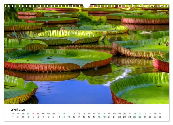 Produktbild: &Icirc;le Maurice entre photographie et peinture (Calendrier mural 2026 DIN A3 vertical), CALVENDO calendrier mensuel
