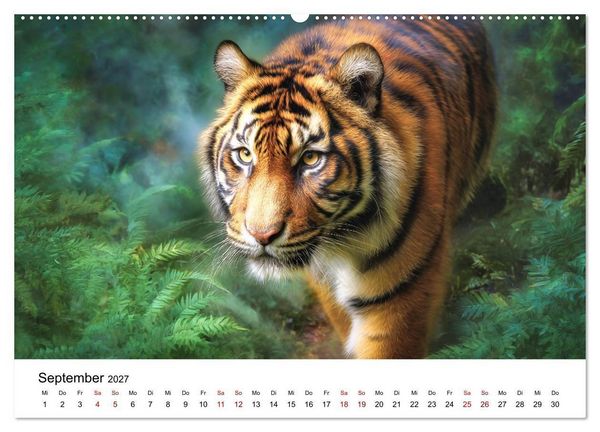 Produktbild: Wild.Edel.Stark. - Im Bann der Tiger (Wandkalender 2027 DIN A2 quer), CALVENDO Monatskalender