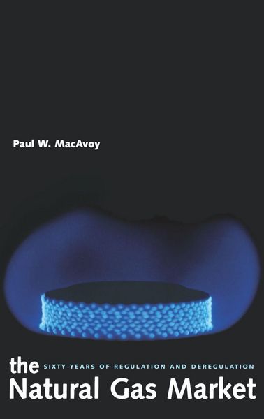 Produktbild: The Natural Gas Market