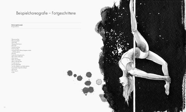 Produktbild: Poledance Passion - Technik, Training, Leidenschaft