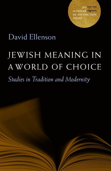 Produktbild: Jewish Meaning in a World of Choice