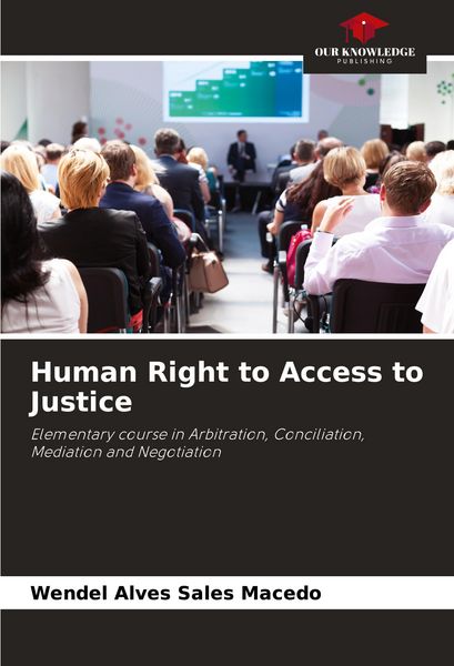 Produktbild: Human Right to Access to Justice