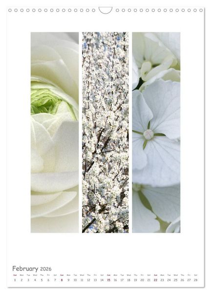 Produktbild: Colours of Nature - Triptycha (Wall Calendar 2026 DIN A3 portrait), CALVENDO 12 Month Wall Calendar