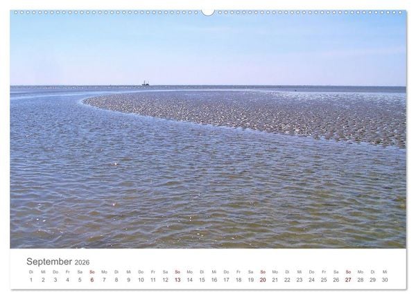 Produktbild: Mein B&uuml;sum - Das wundersch&ouml;ne Nordseeheilbad in Schleswig-Holstein (hochwertiger Premium Wandkalender 2026 DIN A2 quer), Kunstdruck in Hochglanz