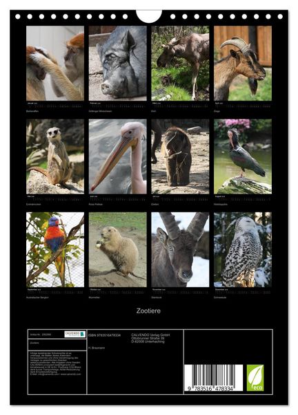 Produktbild: Zootiere (Wandkalender 2026 DIN A4 hoch), CALVENDO Monatskalender