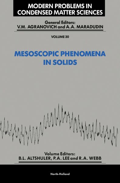 Produktbild: Mesoscopic Phenomena in Solids