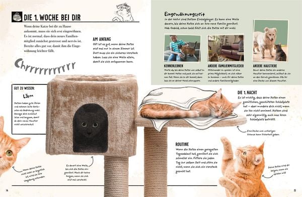Produktbild: Meine Katze