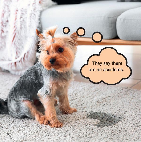 Produktbild: Bandara, P: Existential Dogs