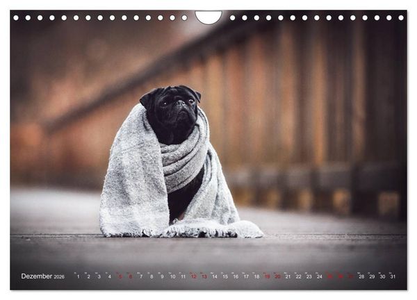 Produktbild: Diesels Welt (Wandkalender 2026 DIN A4 quer), CALVENDO Monatskalender