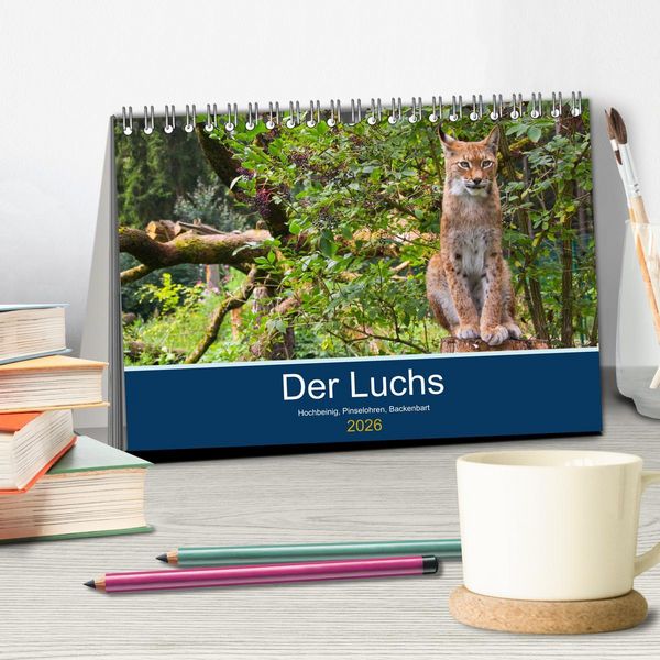 Produktbild: Der Luchs - Hochbeinig, Pinselohren, Backenbart (Tischkalender 2026 DIN A5 quer), CALVENDO Monatskalender