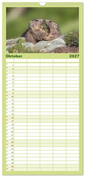 Produktbild: Familienplaner 2027 - Tiere der Alpen - Murmeltier-Kinder mit 5 Spalten (Wandkalender, 21 x 45 cm) CALVENDO