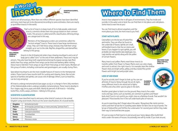 Produktbild: Ultimate Explorer Field Guide: Insects