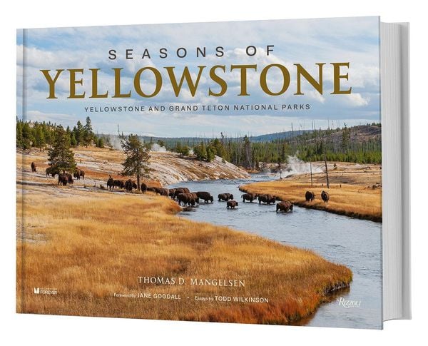 Produktbild: Seasons of Yellowstone