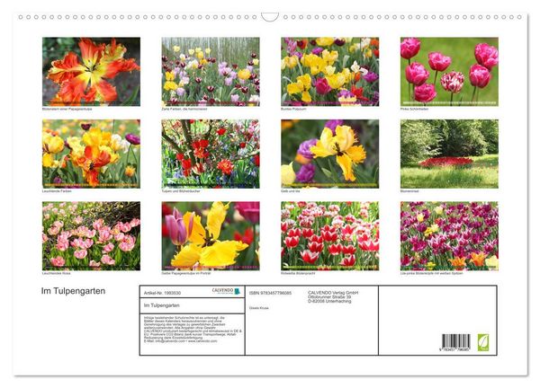 Produktbild: Im Tulpengarten (Wandkalender 2026 DIN A2 quer), CALVENDO Monatskalender