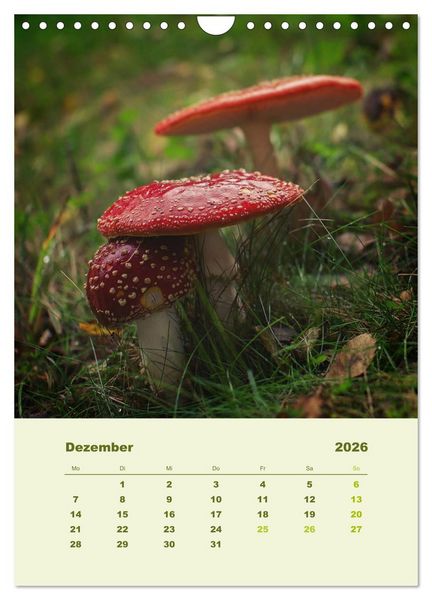 Produktbild: Wundersame Welt der Pilze (Wandkalender 2026 DIN A4 hoch), CALVENDO Monatskalender