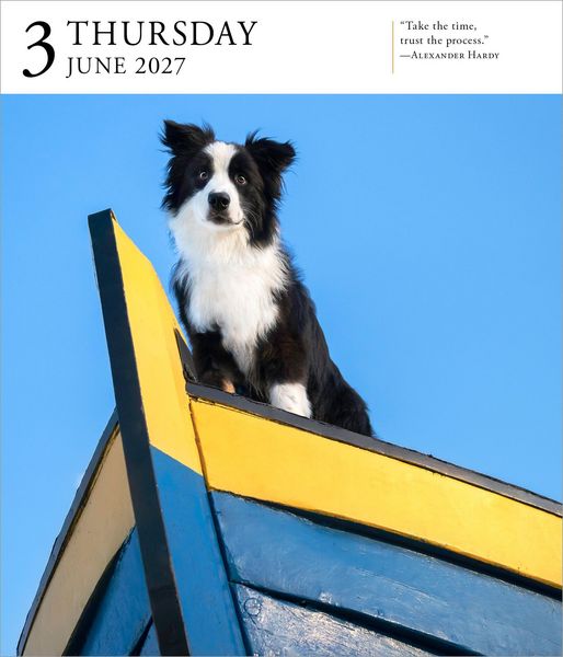 Produktbild: Dog Page-A-Day&reg; Gallery Calendar 2027