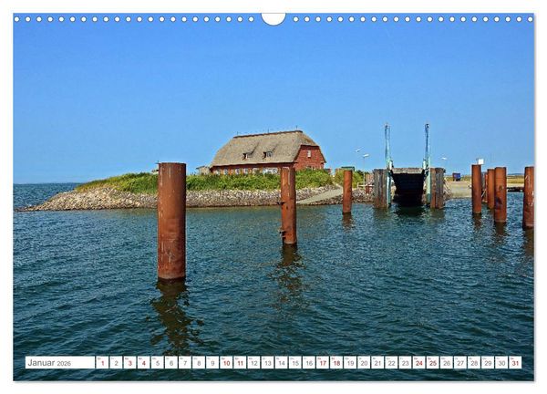 Produktbild: Sommertage auf Langeness (Wandkalender 2026 DIN A3 quer), CALVENDO Monatskalender