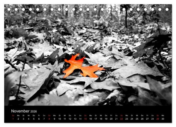 Produktbild: schwarz/wei&szlig; trifft farbe (Tischkalender 2026 DIN A5 quer), CALVENDO Monatskalender