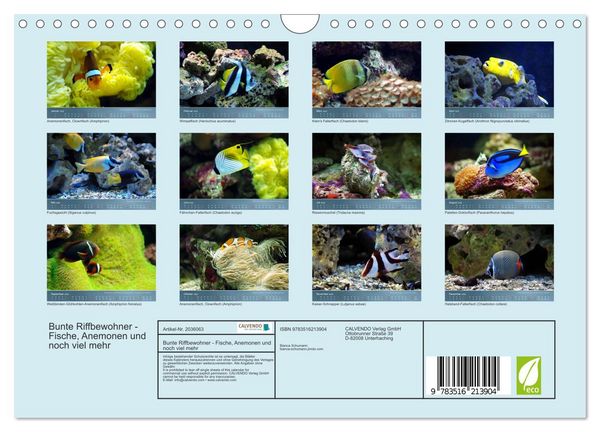 Produktbild: Bunte Riffbewohner - Fische, Anemonen und noch viel mehr (Wandkalender 2026 DIN A4 quer), CALVENDO Monatskalender
