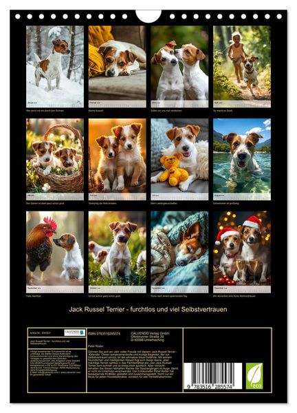 Produktbild: Jack Russel Terrier - furchtlos und viel Selbstvertrauen (Wandkalender 2026 DIN A4 hoch), CALVENDO Monatskalender