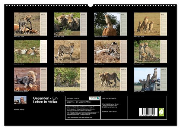 Produktbild: Geparden - Ein Leben in Afrika (hochwertiger Premium Wandkalender 2026 DIN A2 quer), Kunstdruck in Hochglanz