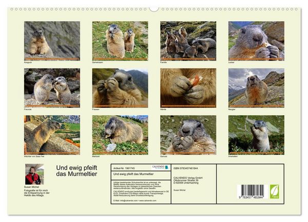 Produktbild: Und ewig pfeift das Murmeltier (hochwertiger Premium Wandkalender 2026 DIN A2 quer), Kunstdruck in Hochglanz