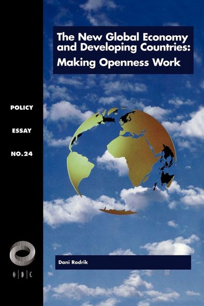 Produktbild: The New Global Economy and Developing Countries