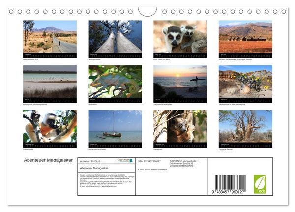 Produktbild: Abenteuer Madagaskar (Wandkalender 2026 DIN A4 quer), CALVENDO Monatskalender