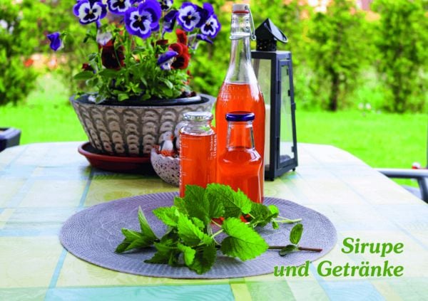Produktbild: Einfach einkochen & fermentieren