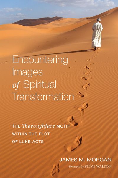 Produktbild: Encountering Images of Spiritual Transformation
