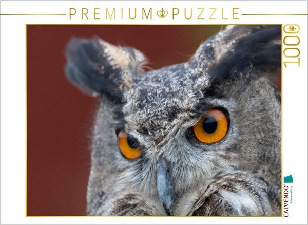 CALVENDO Puzzle Europäischer Uhu | 1000 Teile Lege-Größe 64x48cm Foto-Puzzle für glückliche Stunden