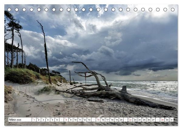 Produktbild: Naturschauspiel Dar&szlig;er Weststrand (Tischkalender 2026 DIN A5 quer), CALVENDO Monatskalender
