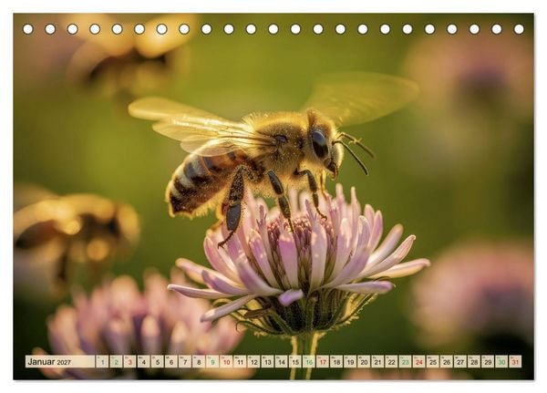 Produktbild: Die intelligentesten Tiere - Weltweit (Tischkalender 2027 DIN A5 quer), CALVENDO Monatskalender
