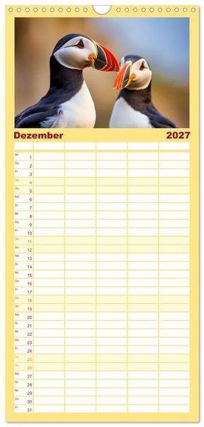 Produktbild: Familienplaner 2027 - Tieftaucher Papageitaucher mit 5 Spalten (Wandkalender, 21 x 45 cm) CALVENDO